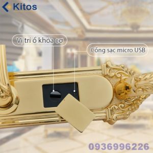 Khoá cửa vân tay tân cổ điển mạ vàng 24k Kitos KT-C800 - kitos kt c800 5 510x510 1