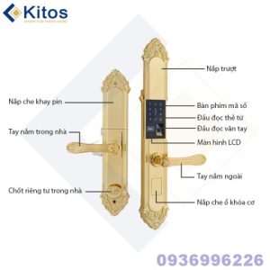 Khoá cửa vân tay tân cổ điển Golden 24k Kitos KT-C810 - kitos kt c810 4 510x510 1