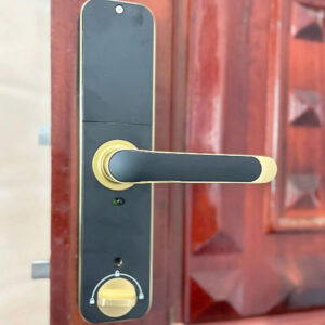 KHOÁ VÂN TAY KASSLER KL 668 GOLD APP - 15 2