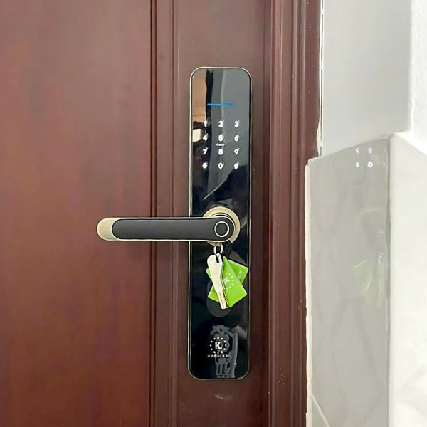 KHOÁ VÂN TAY KASSLER KL 696 GREEN BRONZE APP - 16 1