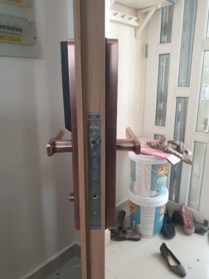 Khoá cửa vân tay Demax EL622 AC Của Đức - 1691d1bd ee38 4157 afe7 961ceb44b560 1