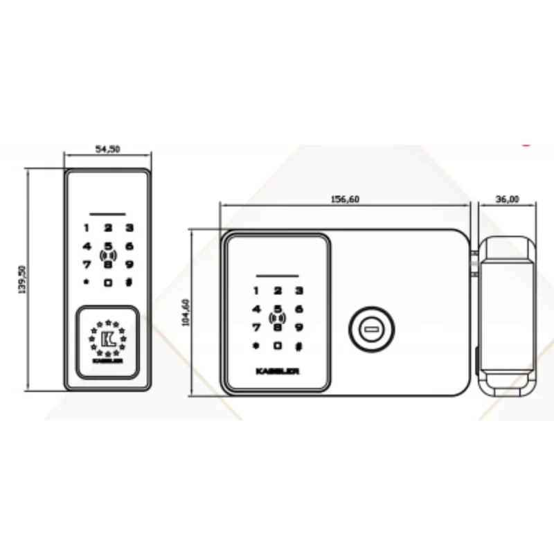 KHÓA CỬA CỔNG VÂN TAY KASSLER KL 579 CNC SILVER GREY REMOTE APP WIFI - 24 4