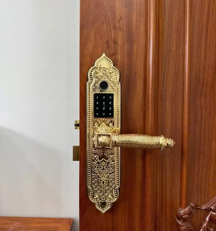 KHOÁ CỬA GỖ TÂN CỔ ĐIỂN KASSLER KL 919 PRO GOLD APP - 39