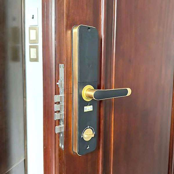 HÌNH ẢNH THỰC TẾ CỦA KHOÁ CỬA VÂN TAY KASSLER KL 696 GOLD APP