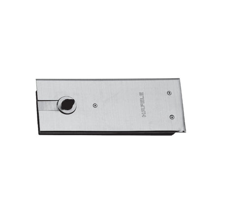 Bản lề sàn có chức năng giữ cửa Hafele - 499 30