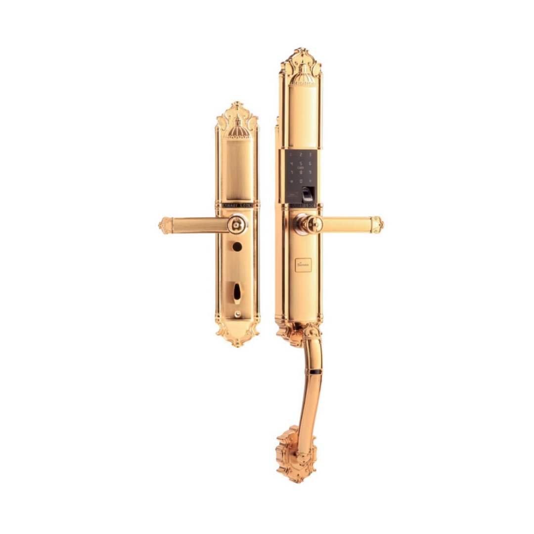 Khóa vân tay đại sảnh tân cổ Demax SL821 Gold App Wifi - Của Đức - 5 1