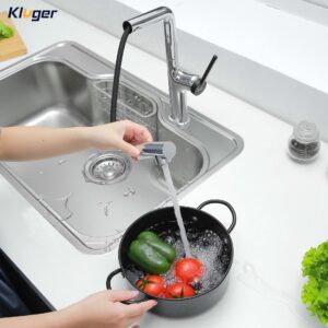 VÒI RỬA CHÉN KLUGER KLF0001C