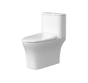 Bồn cầu một khối Hafele Sapporo