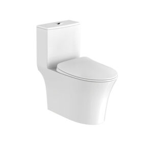 Bồn cầu một khối Hafele Sapporo