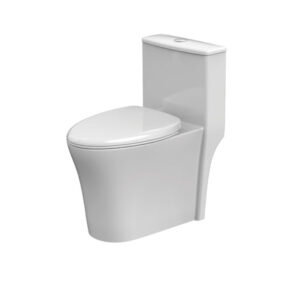 Bồn cầu một khối Hafele Sapporo