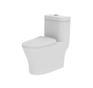 Bồn cầu một khối Hafele Sapporo