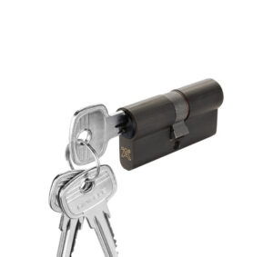 Ruột khóa cửa đi Hafele màu Graphite Black - 916 64 280 7ad8e3bf 566e 4e94 a5a9 1d5dcb798ca8 457x431 crop center