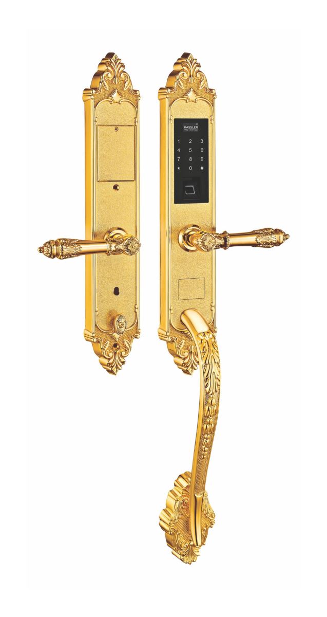 Khóa vân tay tân cổ Kassler KL-969G ( màu vàng) - 969 dong 3