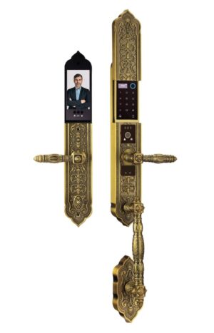 KHÓA CỬA ĐIỆN TỬ FACE ID APP WIFI DEMAX SL988 GB BRASS ĐÚC ĐỒNG NGUYÊN CHẤT