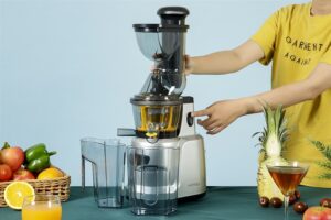 MÁY ÉP CHẬM CỠ LỚN HAFELE HS-J42S (535.43.392) - 99999