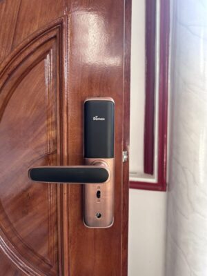 KHÓA CỬA VÂN TAY APP WIFI DEMAX SL268 AC - Demax 268AC TT4