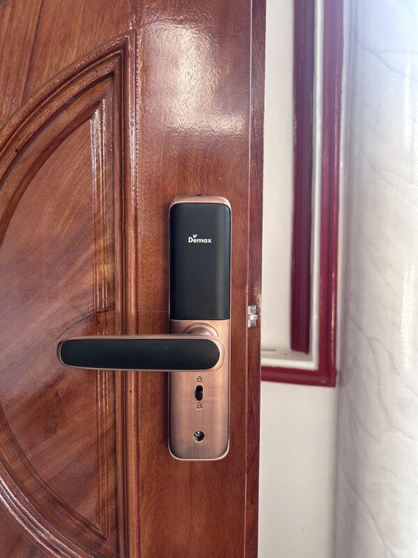 KHÓA CỬA VÂN TAY APP WIFI DEMAX SL268 AC