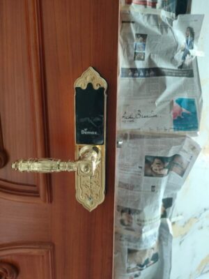 KHÓA CỬA VÂN TAY CỔ ĐIỂN APP WIFI DEMAX SL280 BRASS MẠ VÀNG 24K - IMG 7992