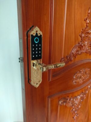 KHÓA CỬA VÂN TAY CỔ ĐIỂN APP WIFI DEMAX SL280 BRASS MẠ VÀNG 24K - IMG 7995