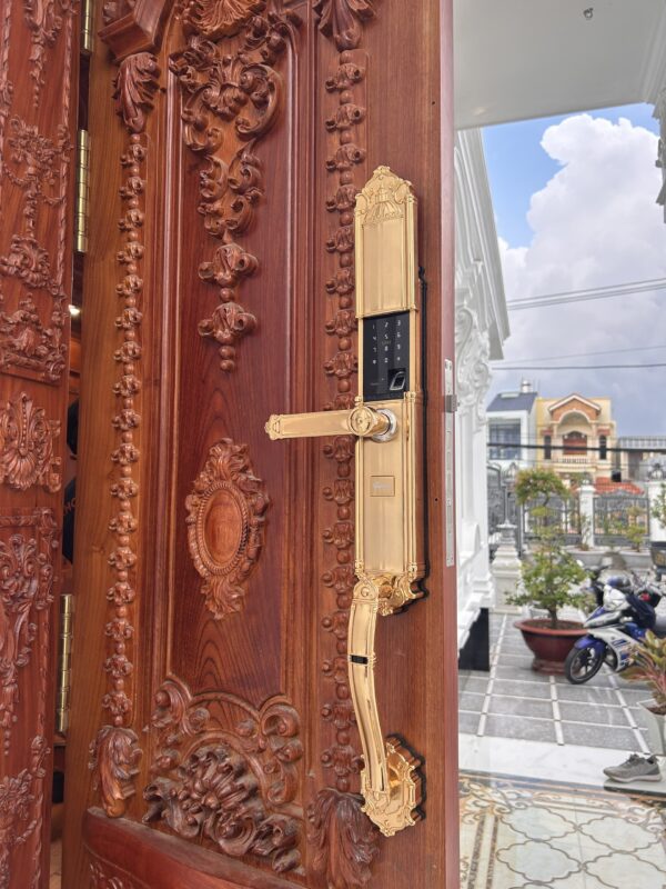 KHÓA VÂN TAY APP WIFI DEMAX SL821 MÀU ĐỒNG