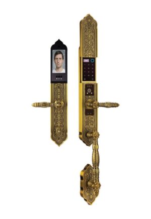 KHÓA CỬA ĐIỆN TỬ FACE ID APP WIFI DEMAX SL9882 GB BRASS ĐÚC ĐỒNG NGUYÊN CHẤT