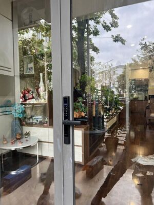 Khoá vân tay cửa nhôm Demax El688 BN App wifi của Đức - Chống nước - ad3c87e30608b856e1192