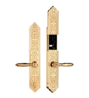 KHÓA CỬA ĐẠI SẢNH APP WIFI DEMAX SL8862 VÀNG 24K