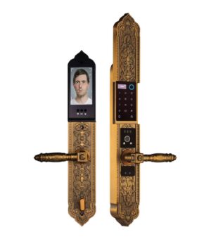 KHÓA CỬA ĐẠI SẢNH FACE ID WIFI DEMAX SL9862 GB MÀU ĐỒNG