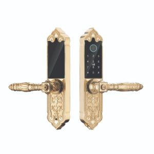 Khóa cửa vân tay Hubert HB DS79 Mini mạ Vàng 24K App Wifi