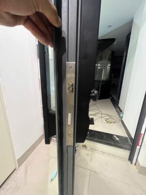 Khoá cửa nhôm vân tay Demax SL909 BL CNC Face ID, App Wifi camera chuông cửa Của Đức - e29bde1fbfc3019d58d213