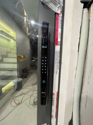 Khoá cửa nhôm vân tay Demax SL909 BL CNC Face ID, App Wifi camera chuông cửa Của Đức - ed2047aa26769828c16719