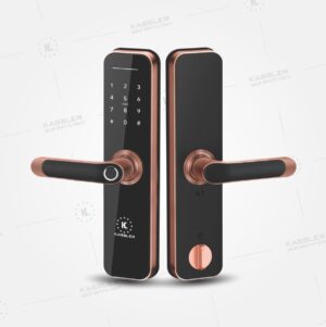 Khóa vân tay Kassler Kl-668 App wifi Bronze
