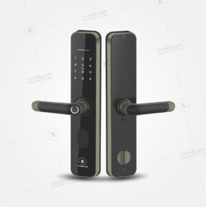 KHOÁ VÂN TAY KASSLER KL 696 GREEN BRONZE APP