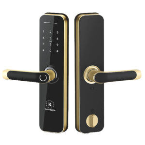 KHOÁ VÂN TAY KASSLER KL 668 GOLD APP REMOTE