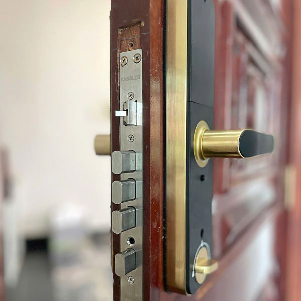 KHOÁ VÂN TAY KASSLER KL 668 GOLD APP REMOTE - 14 1