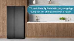TỦ LẠNH SIDE BY SIDE ELECTROLUX 624 LÍT ESE6600A-BVN INVERTER ULTIMATETASTE 700 - ĐEN - 2 33