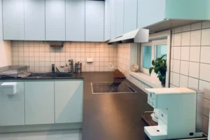 MÁY HÚT MÙI ELECTROLUX ERF715SBA DẠNG CỔ ĐIỂN 70CM - 3 may hut mui am tu electrolux erf715sba 1