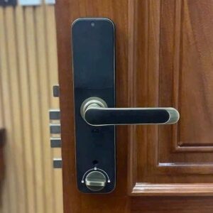 KHOÁ VÂN TAY KASSLER KL 668 GREEN BRONZE APP WIFI REMOTE - 30 3