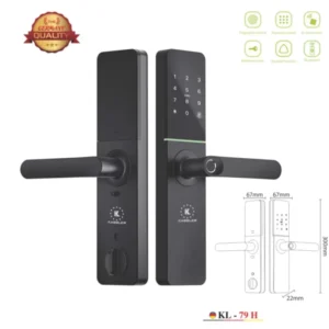 KHOÁ VÂN TAY KASSLER KL 668 GREEN BRONZE APP WIFI REMOTE - 32 9