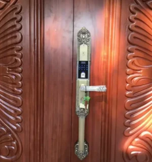 KHOÁ VÂN TAY KASSLER KL 979 GR APP WIFI - 35 6
