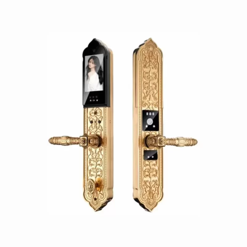 KHOÁ VÂN TAY KASSLER KL 929 F PRO GOLD APP CHỐNG MƯA