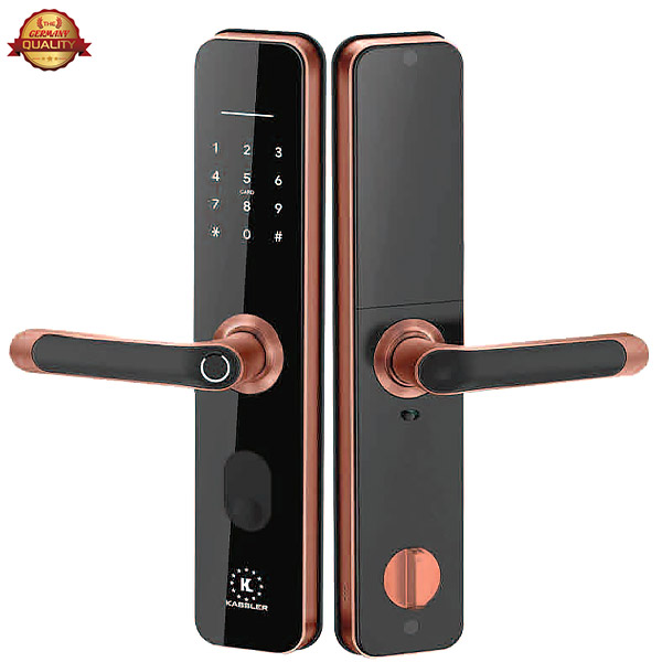 KHOÁ VÂN TAY KASSLER KL 668 RED BRONZE APP REMOTE