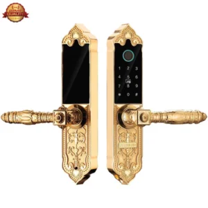KHOÁ CỬA GỖ VÂN TAY KASSLER KL 919 APP