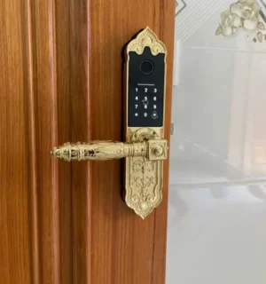 KHOÁ CỬA GỖ VÂN TAY KASSLER KL 919 APP - 52 5