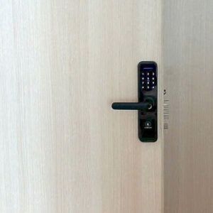 KHOÁ VÂN TAY KASSLER KL 668 BLACK APP REMOTE - 9 3