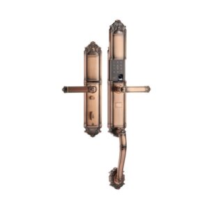 KHÓA VÂN TAY DEMAX SL821 AC MÀU ĐỒNG