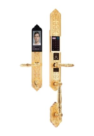 KHÓA CỬA ĐIỆN TỬ FACE ID APP WIFI DEMAX SL9882 24K BRASS ĐÚC ĐỒNG NGUYÊN CHẤT