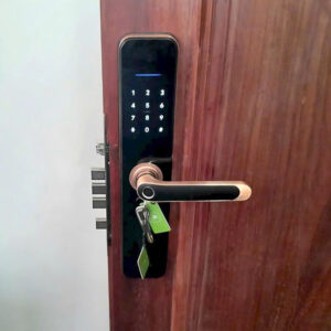 KHOÁ CỬA VÂN TAY KASSLER KL 696 RED BRONZE APP REMOTE - 11