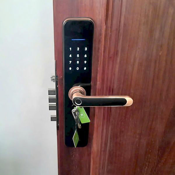 KHOÁ CỬA VÂN TAY KASSLER KL 696 RED BRONZE APP REMOTE - 11