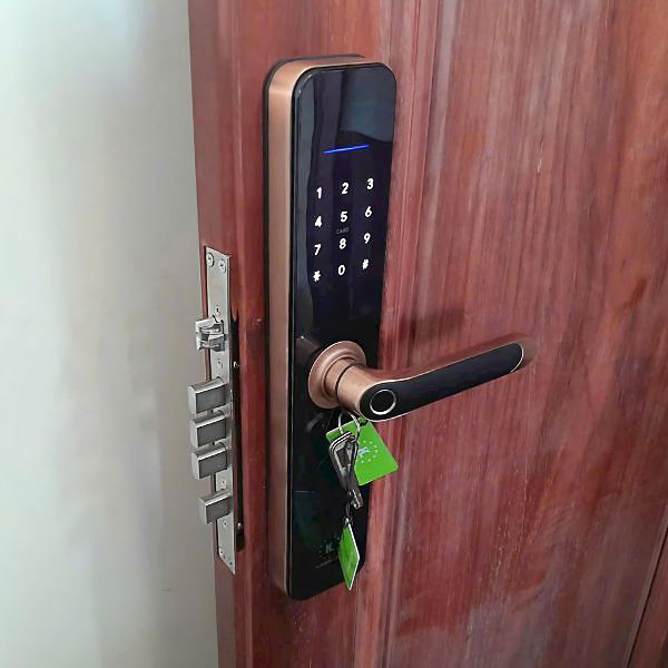 KHOÁ CỬA VÂN TAY KASSLER KL 696 RED BRONZE APP REMOTE - 12